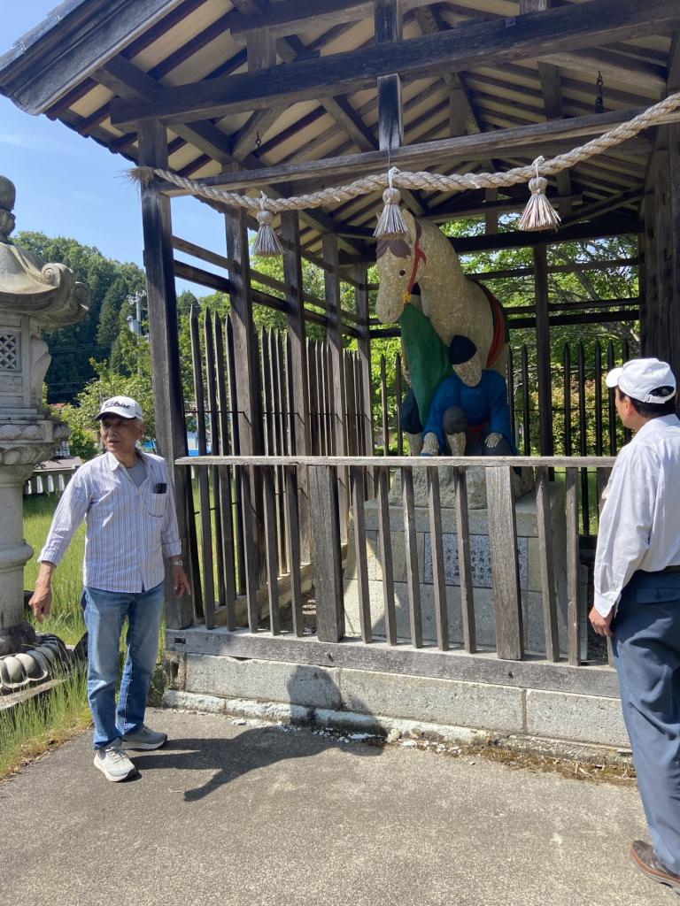 若宮八幡神社の神馬
